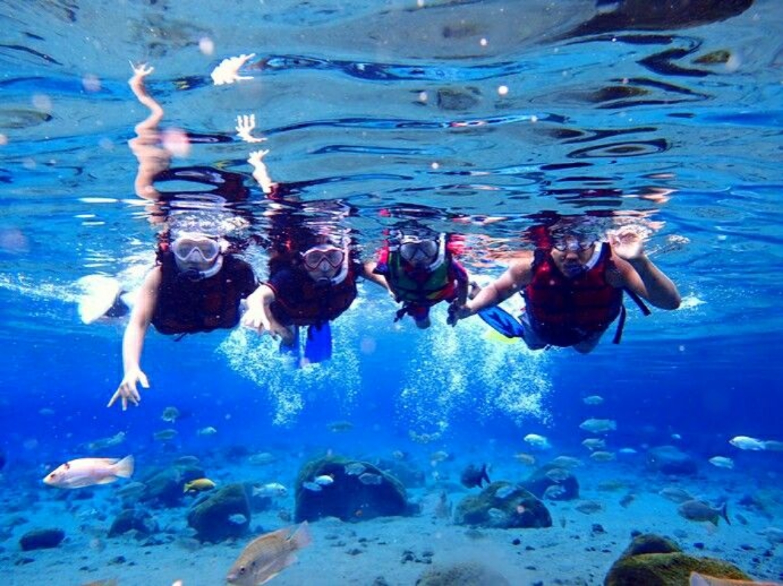 JERNIH: Deretan spot snorkeling di Malang dengan air bening dan panorama bawah laut penuh warna