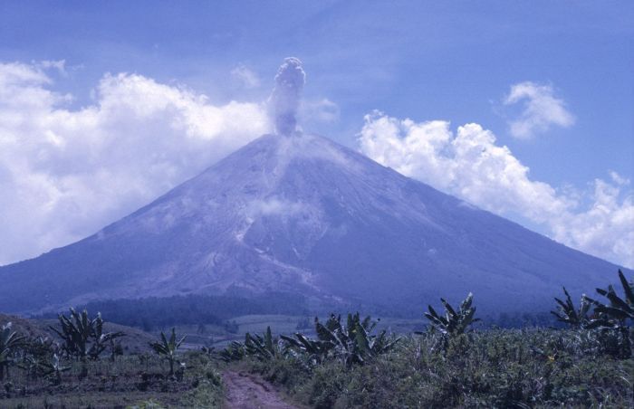 IDAMAN PENDAKI: Gunung Argopuro dengan jalur pendakian terpanjang di Jawa menawarkan pesona alam menakjubkan, dari savana luas hingga Danau Taman Hidup yang memikat.