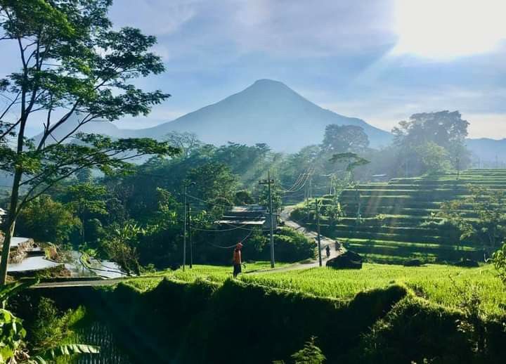 MENAKJUBKAN: Gunung Penanggungan tak hanya menyuguhkan panorama indah dari puncaknya, tetapi juga menyimpan jejak sejarah berupa candi dan petirtaan di lerengnya.