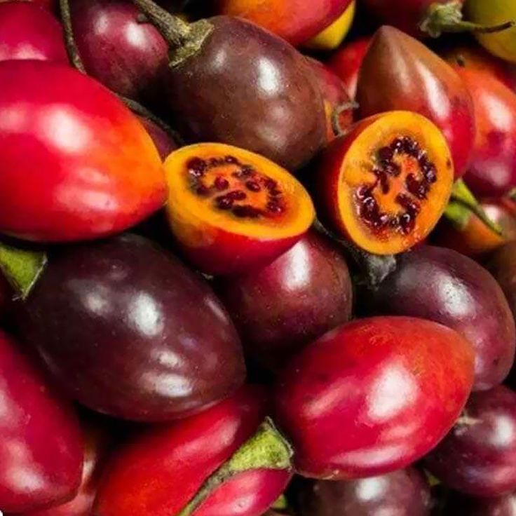 NIKMAT: Segar, unik, dan kaya manfaat. Terong belanda tak hanya nikmat dijadikan jus, tetapi juga bisa diolah menjadi aneka masakan lezat yang menyehatkan.