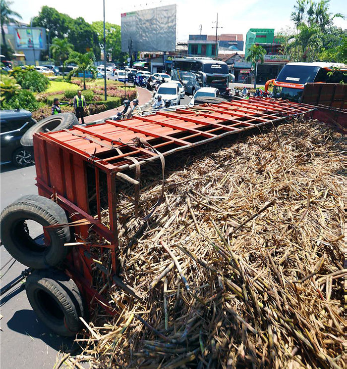 BIKIN MACET: Truk gandeng bermuatan tebu terguling di bundaran Jalan Panglima Sudirman, Kota Malang kemarin (1/10). Rencananya akan mengirim tebu ke PG Krebet Bululawang.