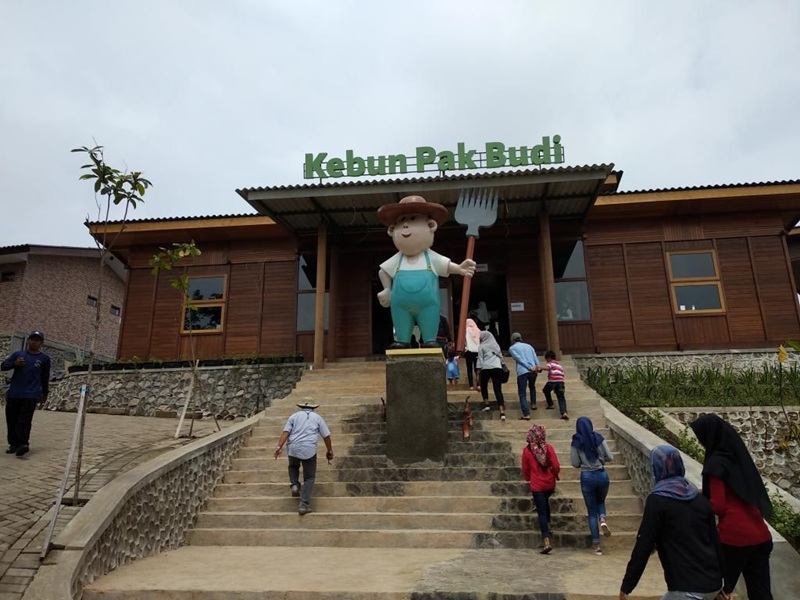 WISATA EDUKASI: Kebun Pak Budi Merupakan Wisata Edukasi Sekaligus Rekreasi