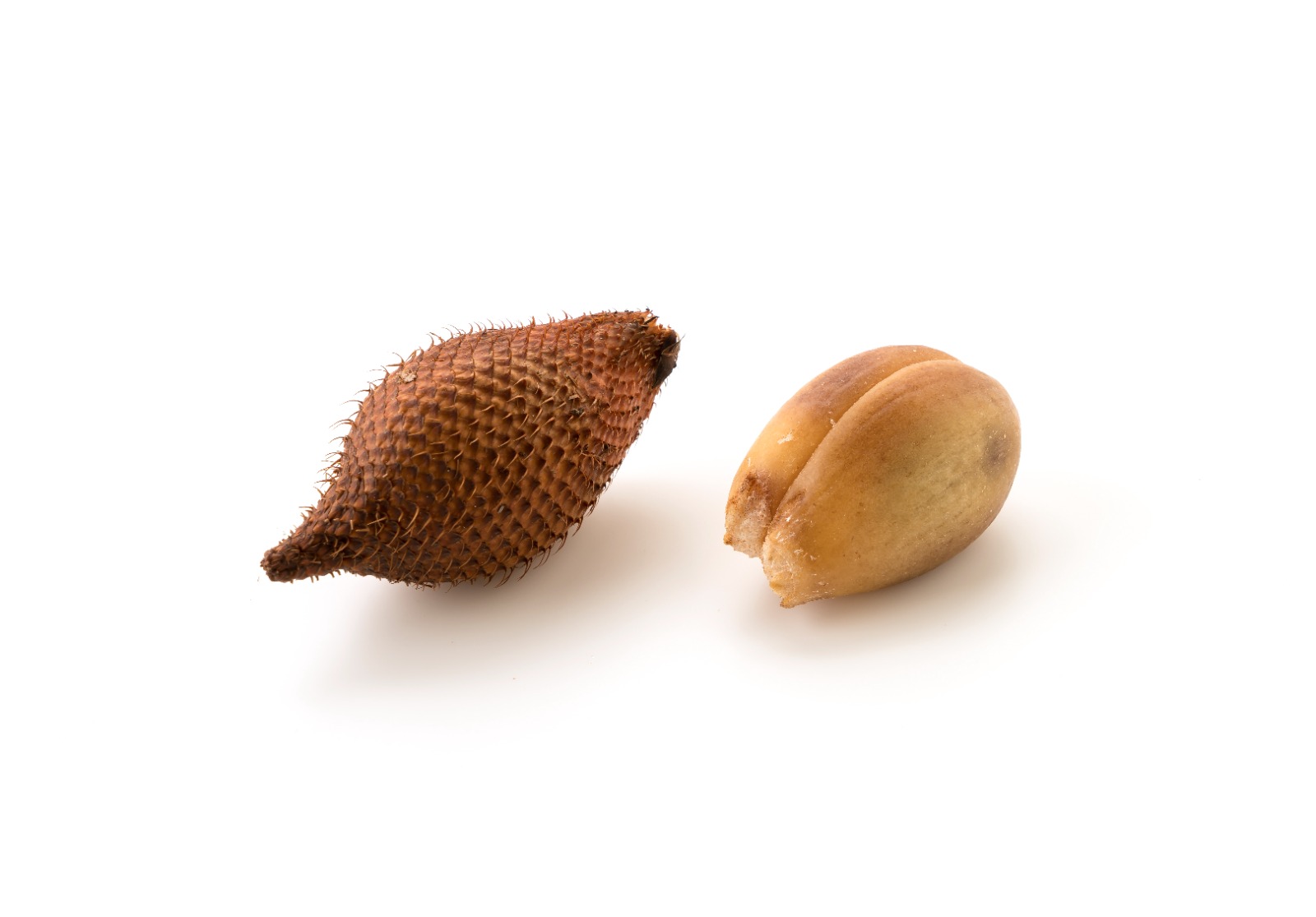 ENAK: Buah salak dengan rasa manis yang khas, tidak hanya lezat disantap tetapi juga menyimpan banyak manfaat untuk kesehatan.