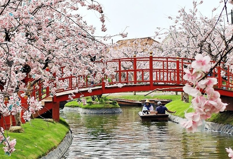 INDAH: Sakura park di Dairyland Farm Theme Park Prigen