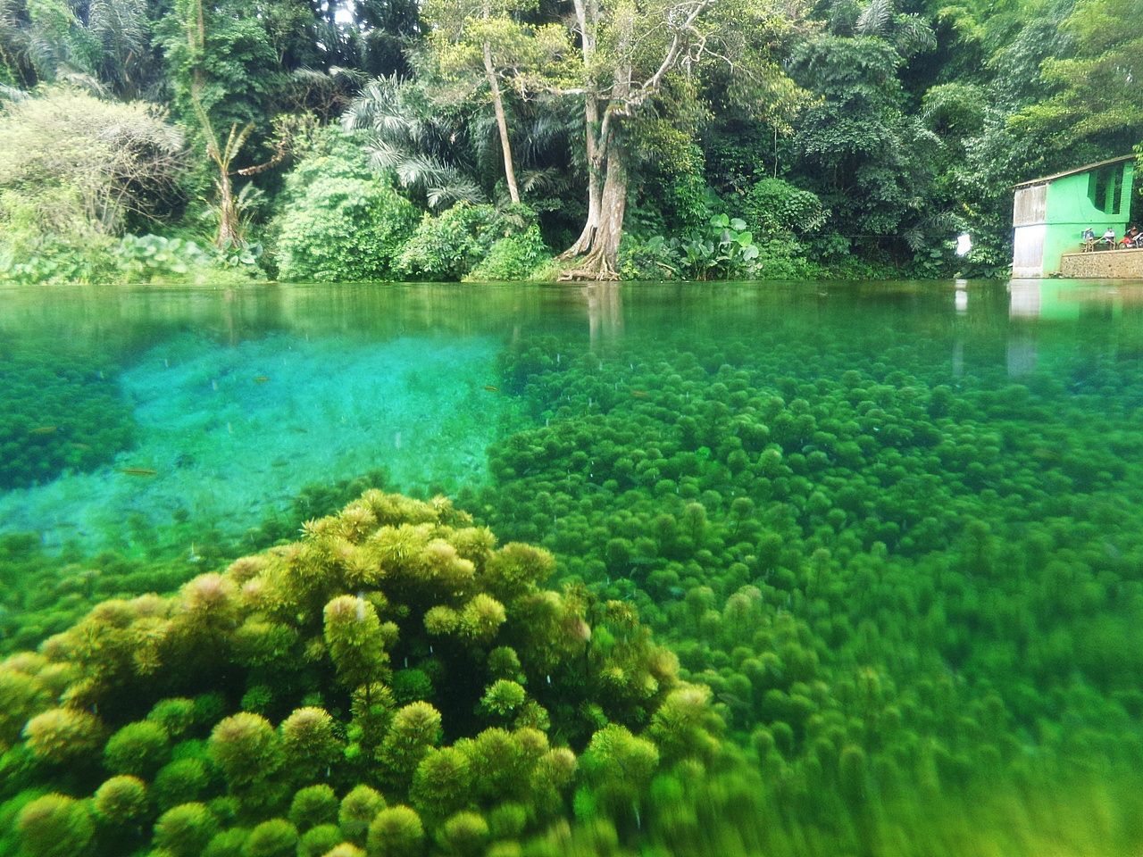 SENANG: Berikut tiga tempat wisata rekomendasi yang cocok untuk liburan ringan bareng teman atau keluarga.