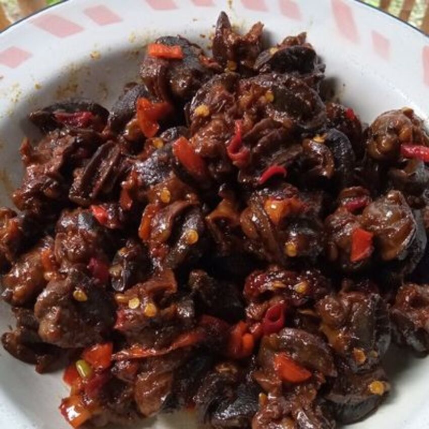 KULINER EKSTREM: Bekicot hewan berlendir yang bisa diolah menjadi berbagai bentuk masakan