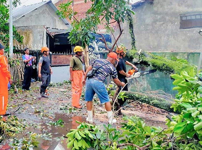 EVAKUASI: Personel BPBD Kota Malang memotong batang pohon yang tumbang menutup ruas jalan di Jalan KH Yusuf, Kelurahan Tasikmadu, Kecamatan Lowokwaru.