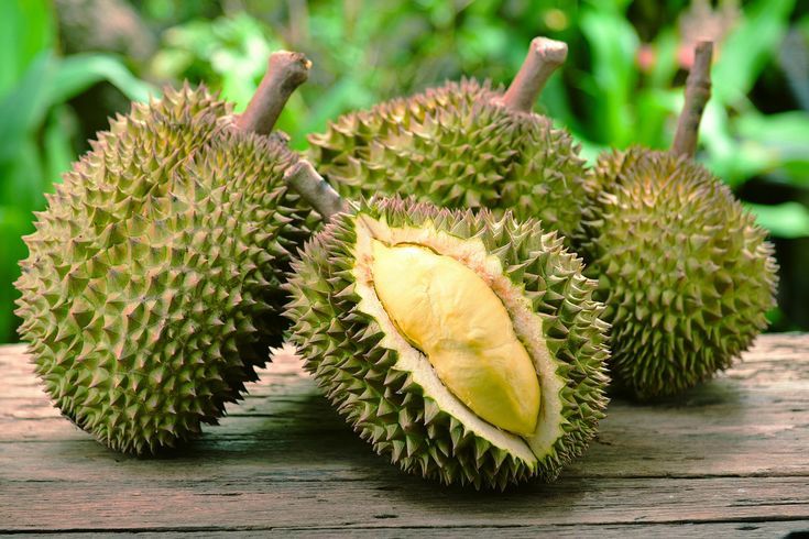 ENAK: Pecinta Durian bisa mengunjungi tempat di Malang