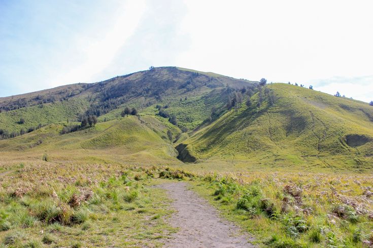 MEMANJAKAN MATA: Hamparan hijau Bukit Teletubbies yang lembut dan luas menghadirkan suasana tenang nan indah, cocok untuk berfoto atau menikmati udara segar khas pegunungan.