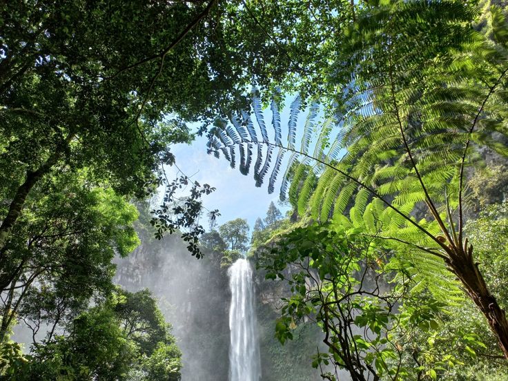 INDAH: Air terjun Coban Rondo yang menjulang tinggi di tengah rimbunnya hutan pinus menghadirkan suasana sejuk dan menenangkan, cocok untuk melepas penat dari hiruk pikuk kota.