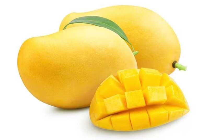 Ilustrasi buah mangga