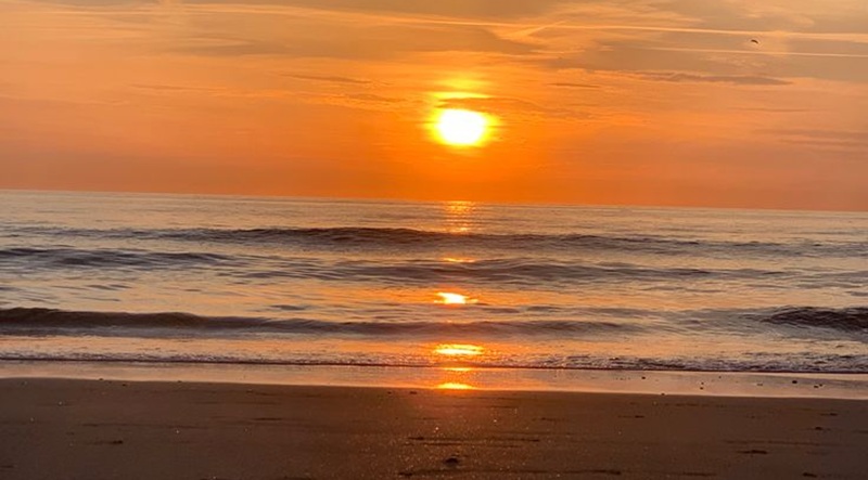 Ilustrasi sunset