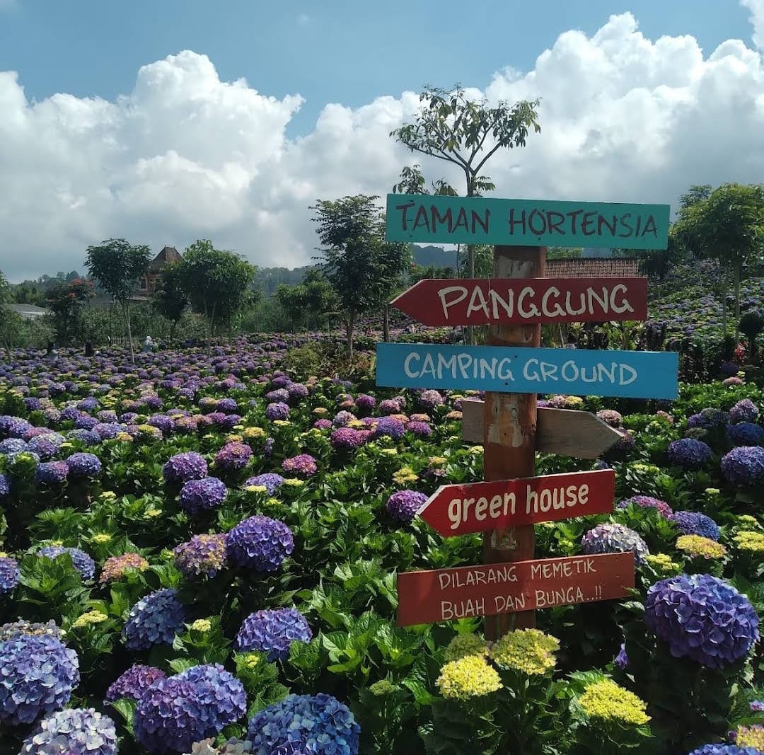 WISATA: Destinasi Wisata Dusun Kuliner di Batu yang menawarkan beragam pengalaman menarik 