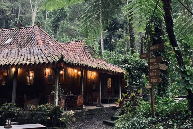 NGOPI SANTAI: Potret suasana Kedai Hutan Cempaka di Pasuruan