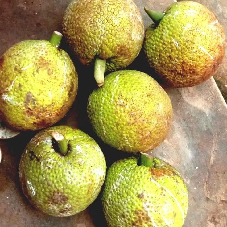 SEDAP: Buah sukun matang dengan tekstur lembut dan aroma khas, kaya manfaat bagi kesehatan tubuh.
