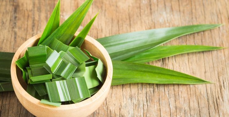 Harum daub pandan dengan berbagai khasiat