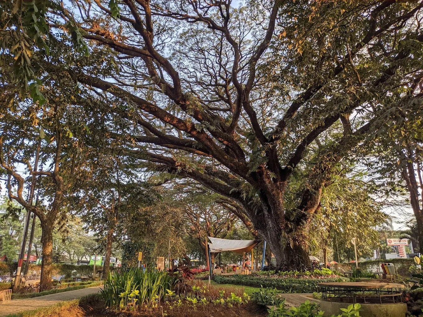 RINDANG: Taman Trunojoyo yang sering menjadi tempat singgah sempurna bagi siapa pun yang baru tiba di kota ini.