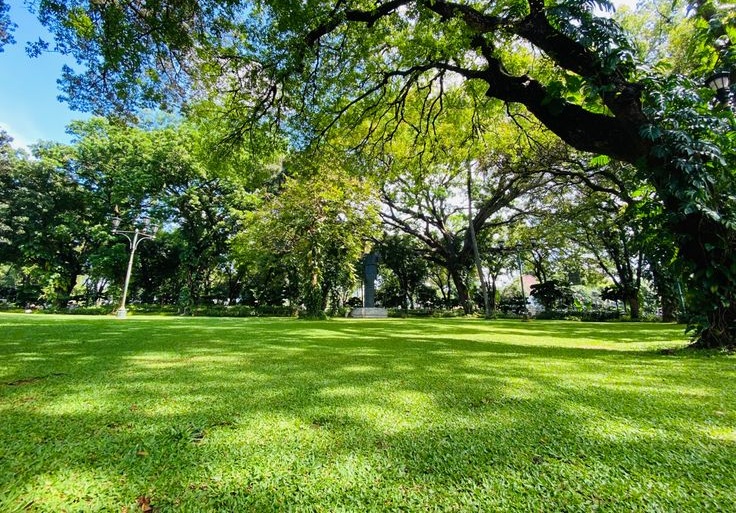 Ilustrasi taman