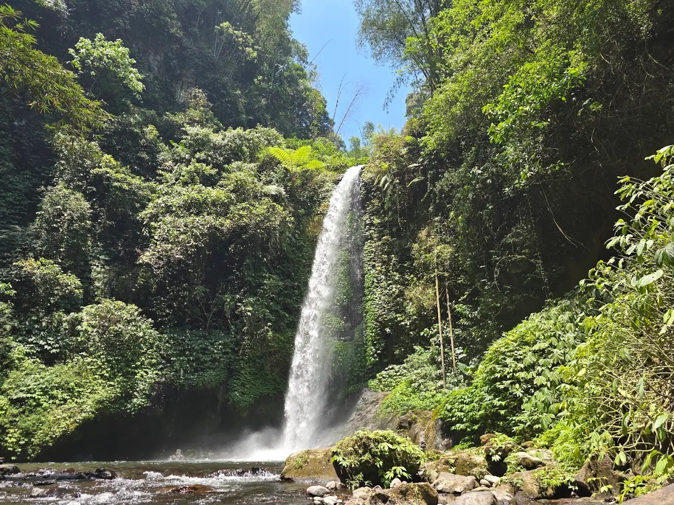 SUASANA ALAMI: Benjor Pine Camping Ground, tempat wisata yang terletak di tengah hutan pinus yang rindang, tempat ini menawarkan suasana alami yang damai dan jauh dari hiruk pikuk kota.
