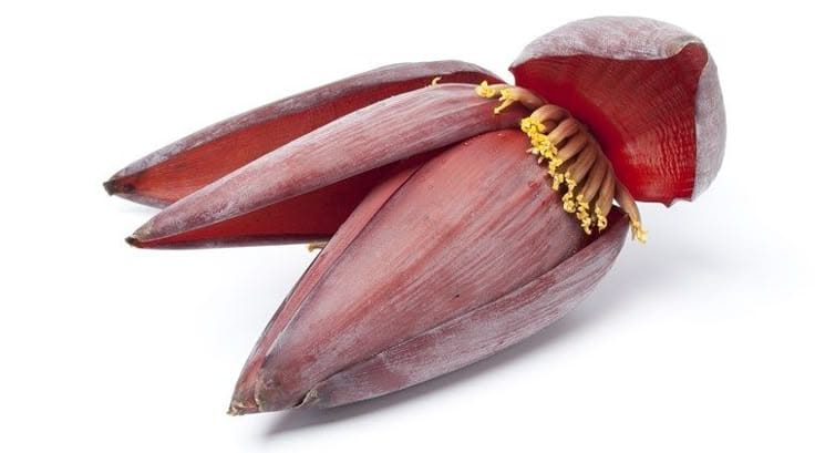 Ilustrasi jantung pisang