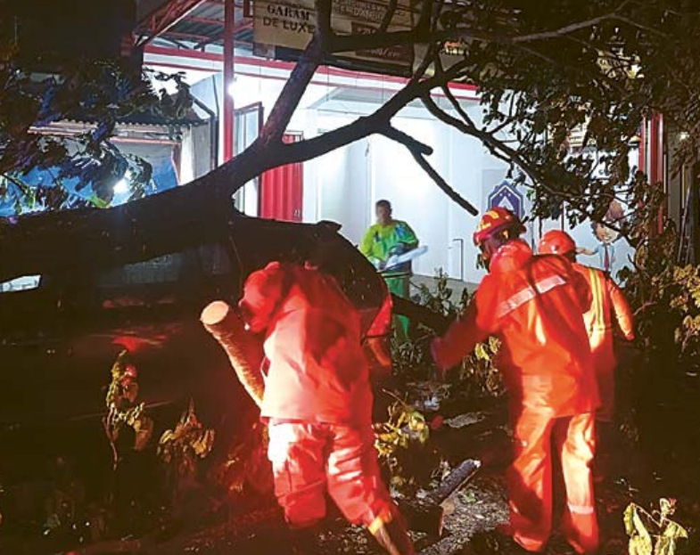 YANG KESEKIAN: Pohon Saman di Desa Ngadilangkung, Kecamatan Kepanjen tumbang setelah ditabrak truk pada 5 Oktober lalu