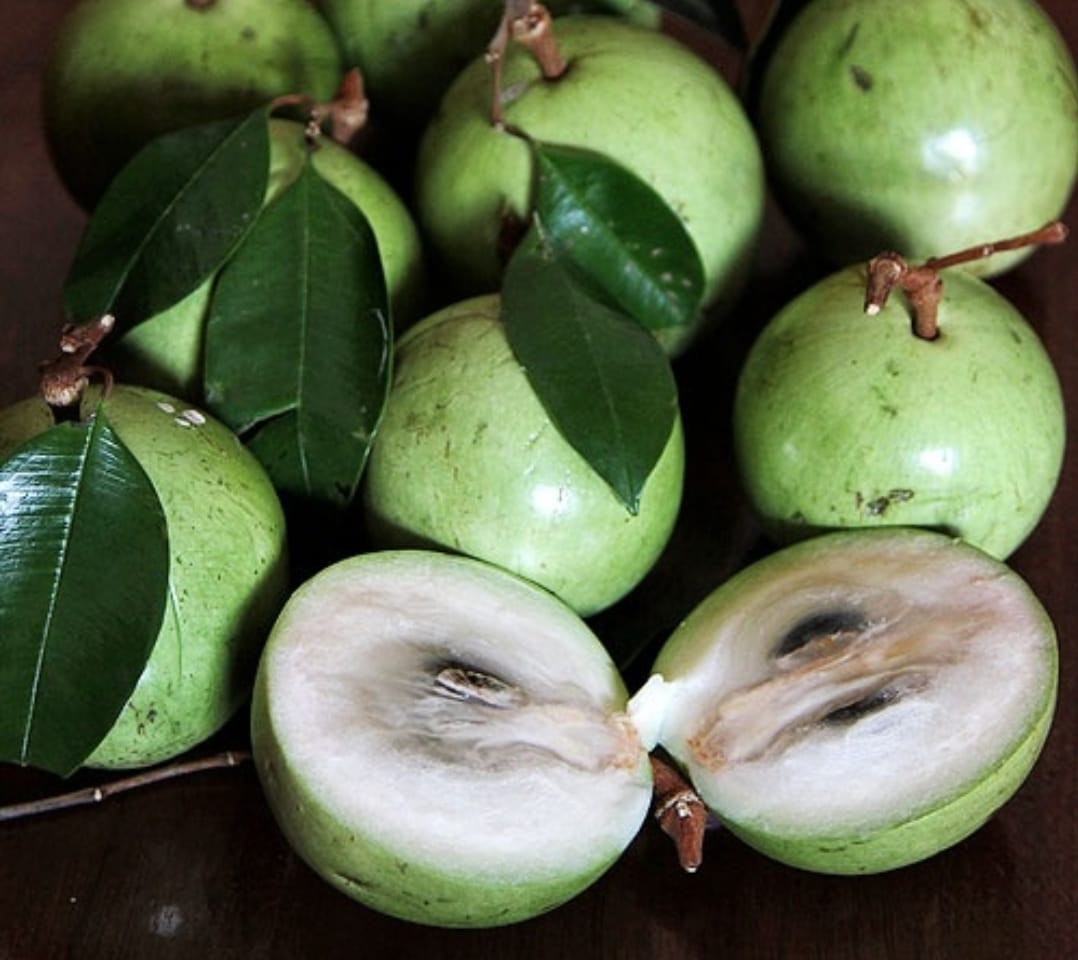 UNIK: Beberapa buah-buahan lokal berikut punya keunikan tersendiri yang mungkin jarang kamu tahu, buah kenitu salah satunya