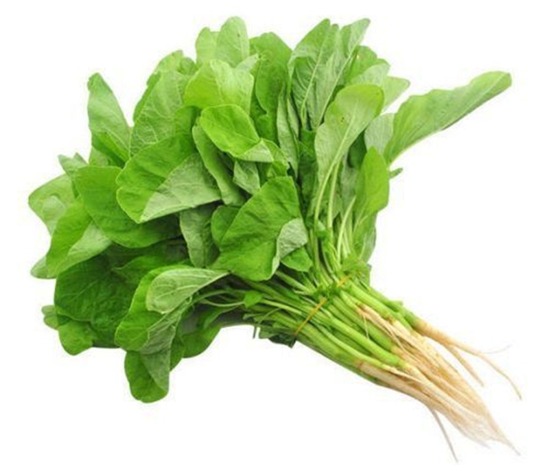 Sayur bayam banyak manfaat kesehatan