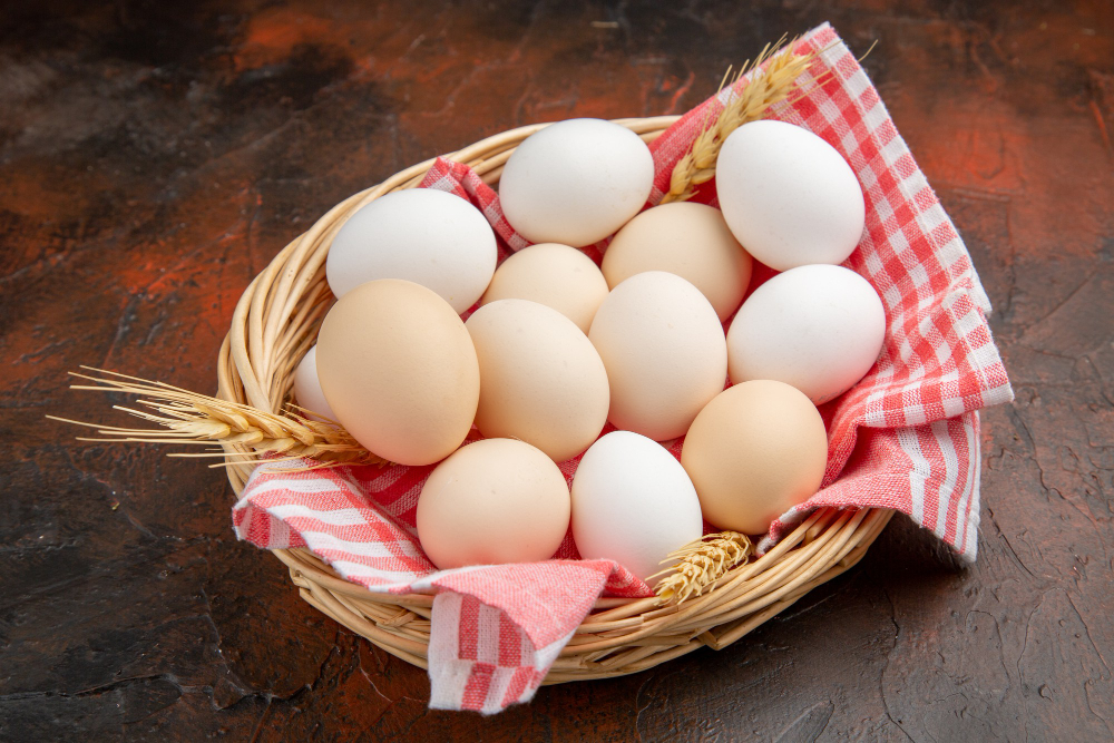 TELUR: Protein termudah untuk diolah.