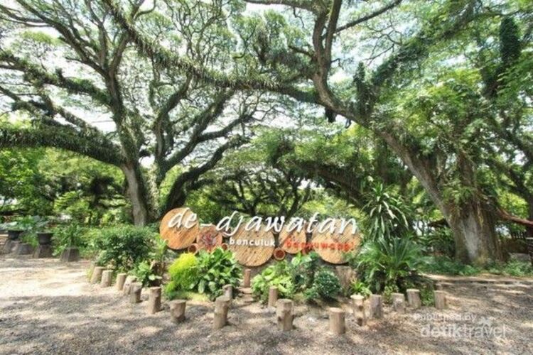 EKSOTIS: Keindahan alam Banyuwangi selalu menarik perhatian wisatawan dengan panorama alam yang memanjakan mata.