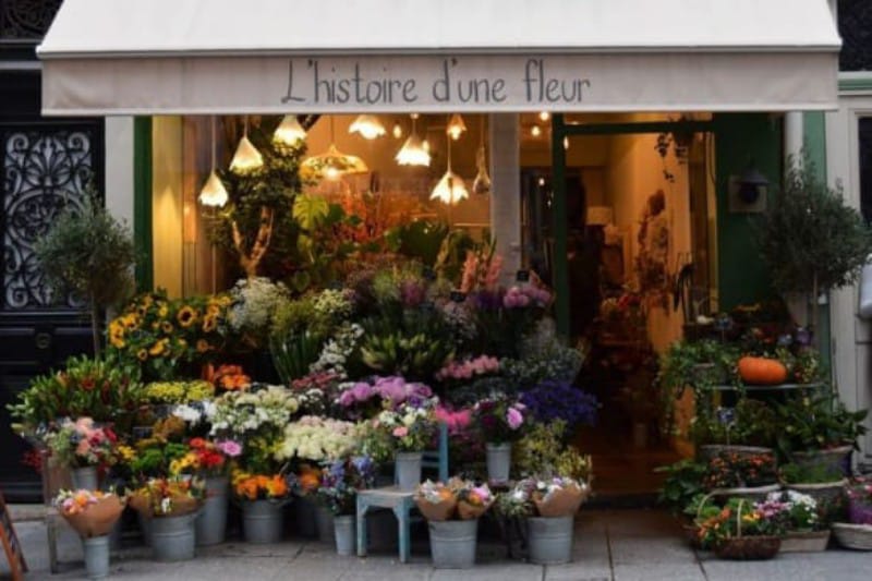 Ilustrasi florist