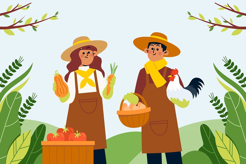 Ilustrasi Bersiap Bentuk BUMD di Sektor Pangan