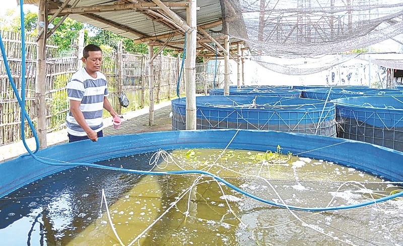 SEGERA CAPAI TARGET: Salah satu pembudidaya ikan air tawar di Kecamatan Pakisaji mempunyai beberapa kolam ikan lele dan nila di rumahnya.