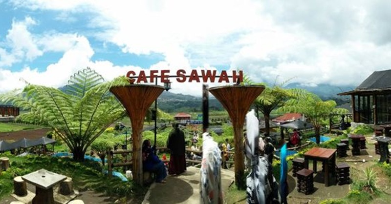 TENANG: Cafe Sawah Pujon, santai di tengah hamparan hijau sambil ngopi nikmat.