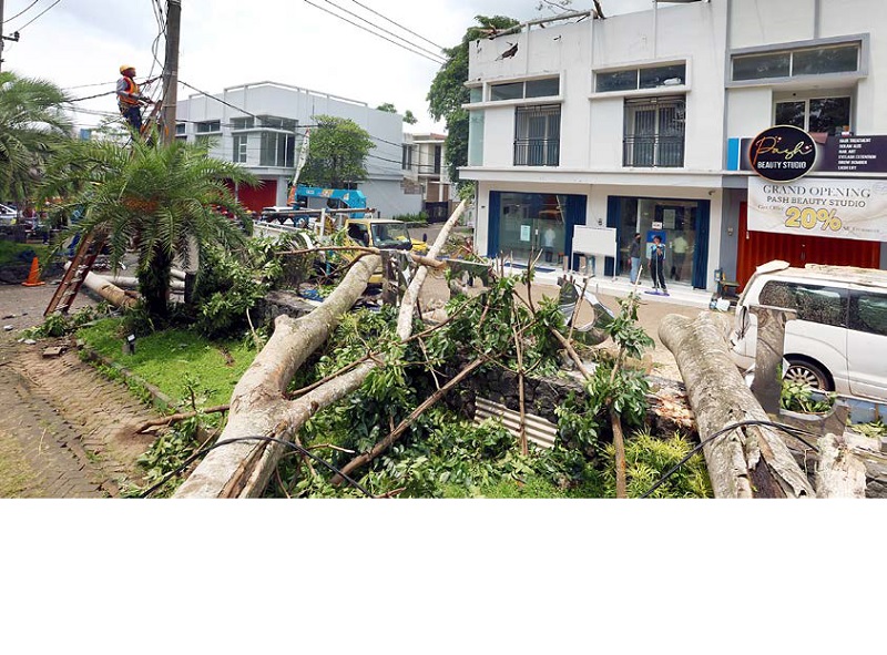 BANYAK YANG TERDAMPAK: Pembersihan material pohon dilakukan petugas di Jalan Mayjen Sungkono, Kedungkandang, kemarin. Penanganan dampak bencana juga dilakukan di tempat-tempat lainnya.