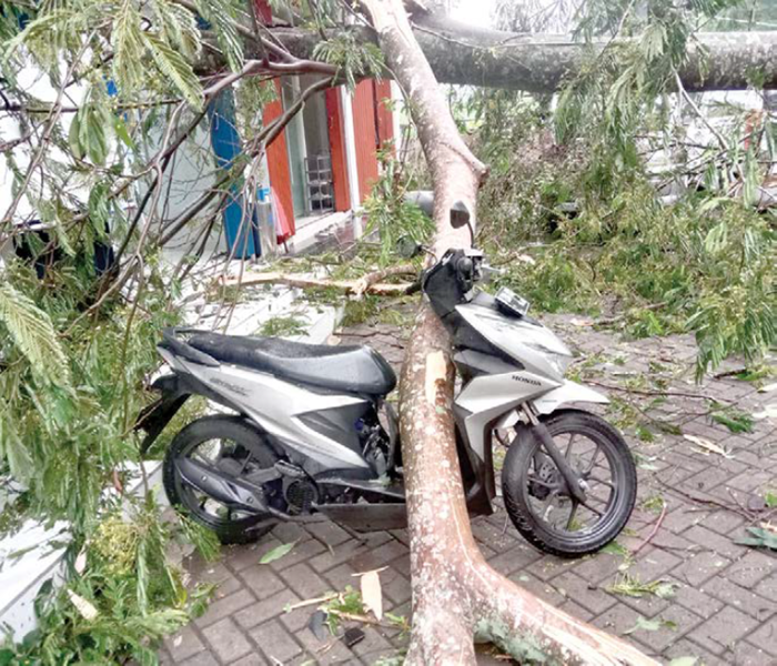 CUACA EKSTREM: Pohon tumbang di Jalan Mayjend Sungkono menimpa salah satu sepeda motor pada Minggu (2/11) lalu.