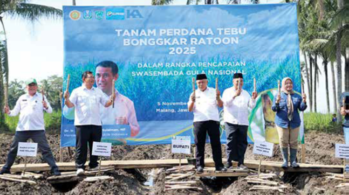 GENJOT PRODUKSI: Bupati Malang H M. Sanusi melakukan tanam perdana tebu bongkar ratoon di Desa Sudimoro, Kecamatan Bululawang kemarin (5/11)