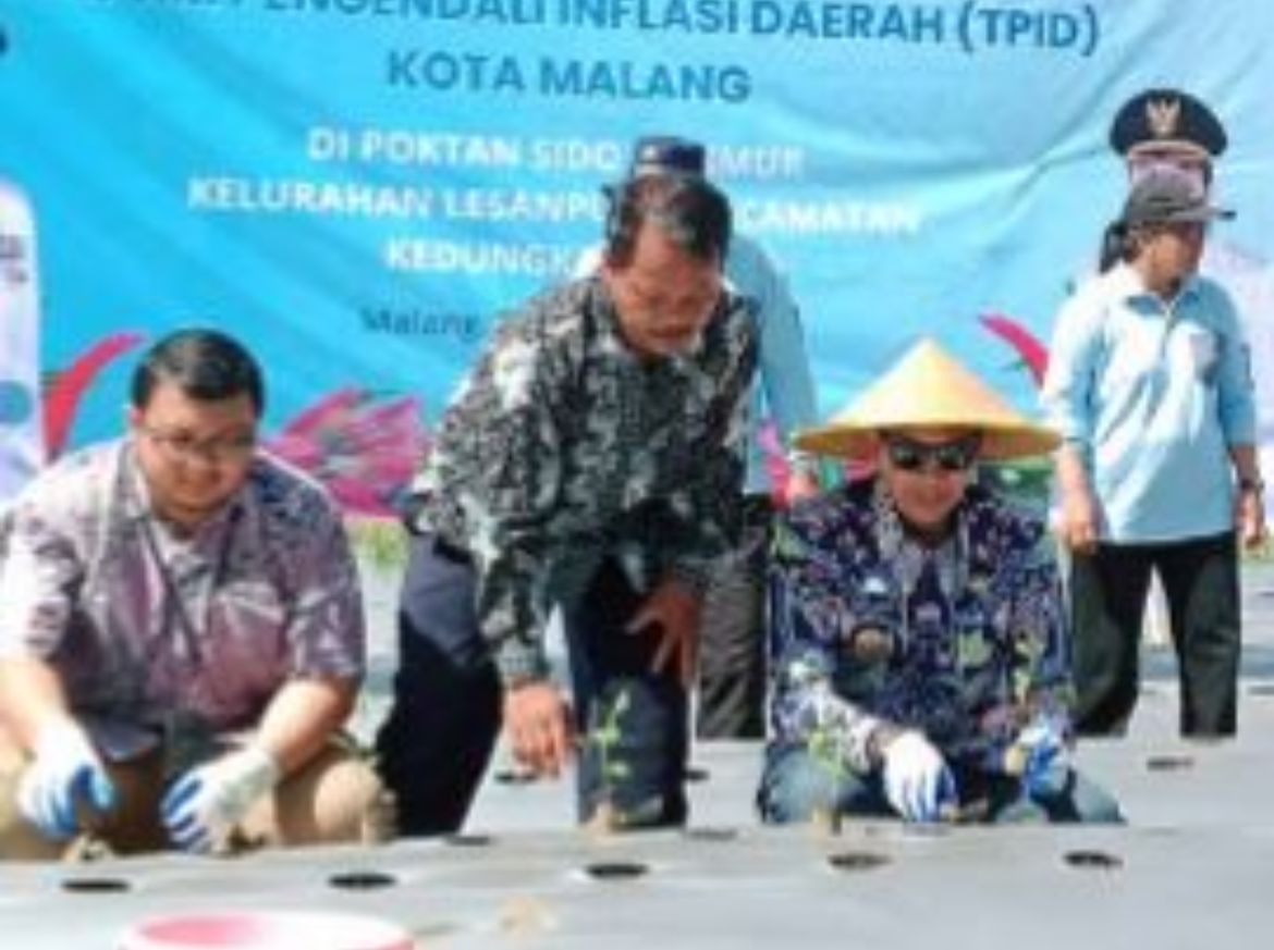TINGKATKAN PRODUKSI LOKAL: Wali Kota Malang Wahyu Hidayat (depan, tiga dari kiri) ambil bagian dalam kegiatan penanaman cabai secara simbolis di Kelurahan Lesanpuro, Kedungkandang, kemarin (7/11).