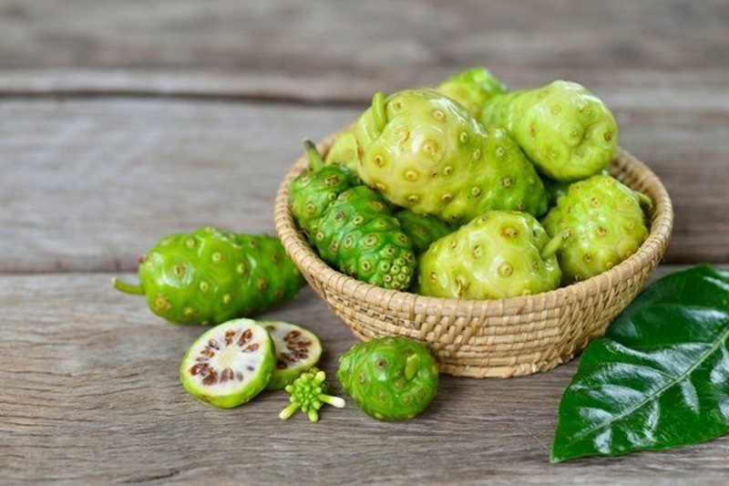Ilustrasi buah mengkudu