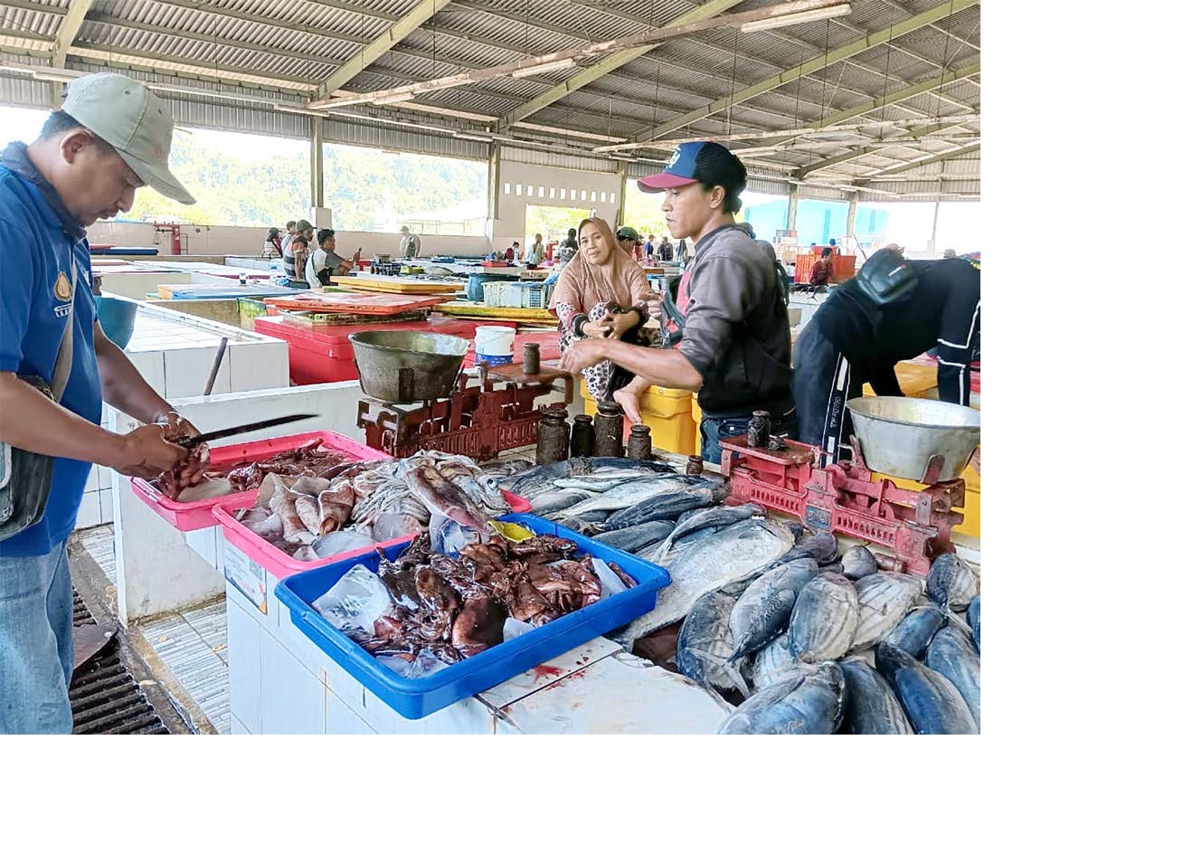 MELIMPAH: Para pedagang di Kios Ikan Nelayan, Desa Tambakrejo, Kecamatan Sumbermanjing Wetan, menyediakan beragam hasil laut untuk dijual. Wamenbud Giring Dorong Boonpring Menjadi Pusat Kebudayaan