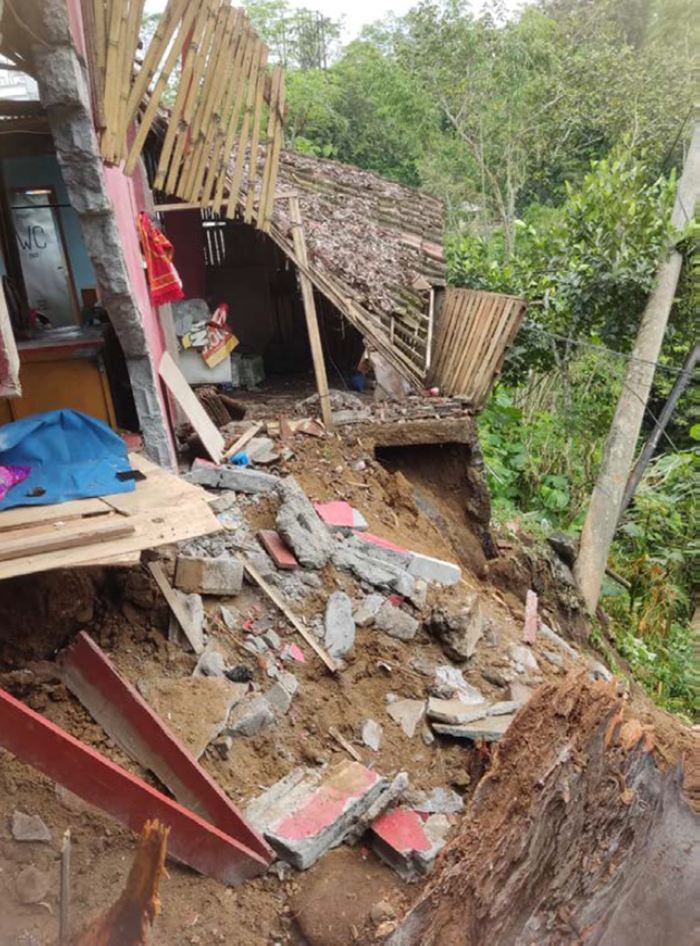 BENCANA: Warung milik Siti Solikah di Desa Tamanasri, Kecamatan Ampelgading rusak tertimpa pohon mahoni, Senin lalu (10/11).