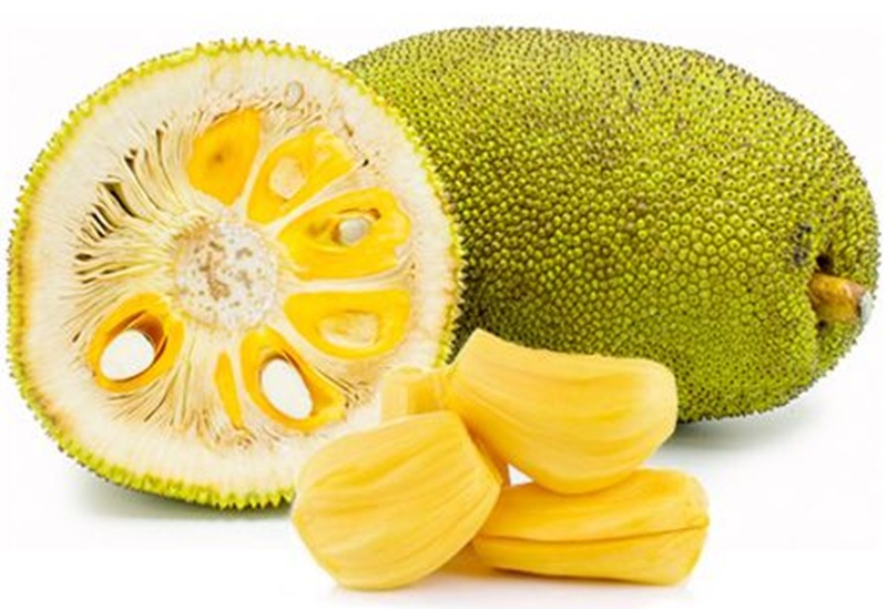 MANIS: Buah nangka yang kaya manfaat