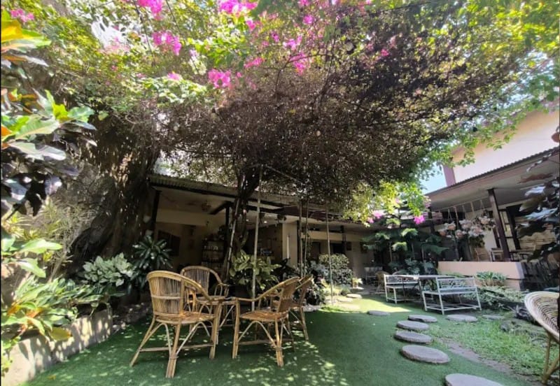 Kafe Calathea menyuguhkan suasana alam dengan pemandangan menyegarkan.