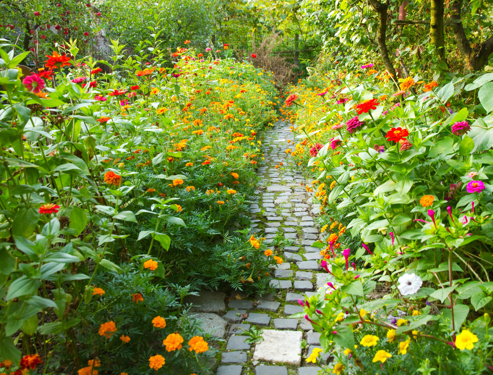 INDAH: kebun bunga selalu cocok untuk spot foto.