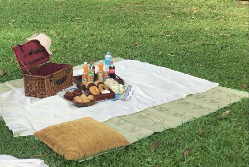 Ilustrasi tempat piknik