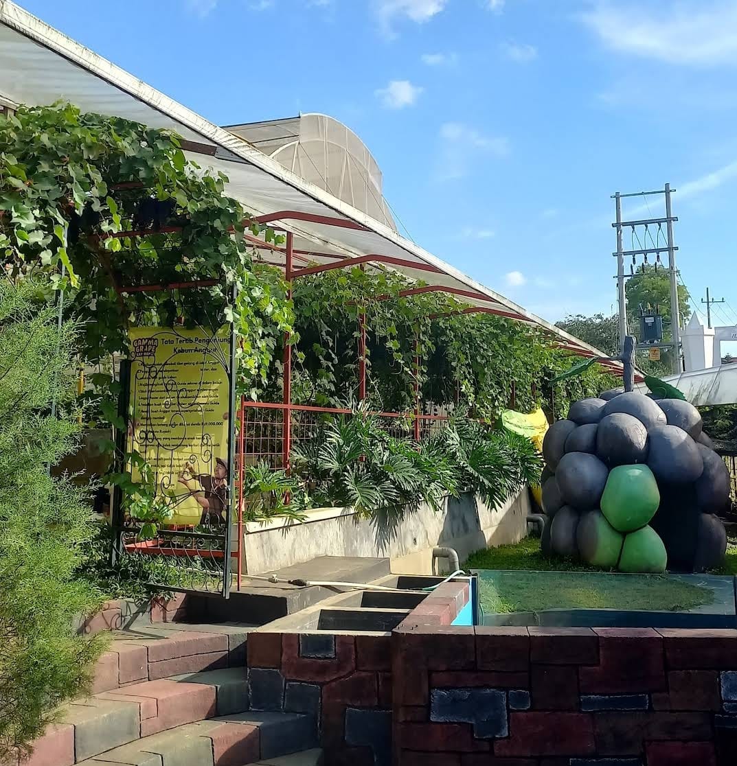 WISATA ANGGUR: Gamma Grape Experience tawarkan pengalaman rekreasi dan edukasi seputar anggur