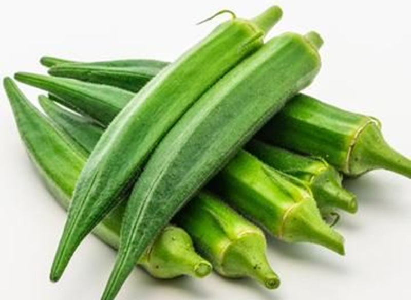 Ilustrasi okra