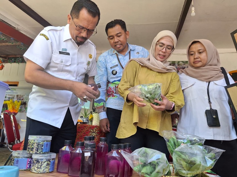 BERI DUKUNGAN: Plh Kepala DLH Kota Malang Gamaliel Raymond Hatigoran Matondang (kiri) meninjau beberapa produk dari warga RW 5, Kelurahan Arjowinangun, kemarin (19/11).