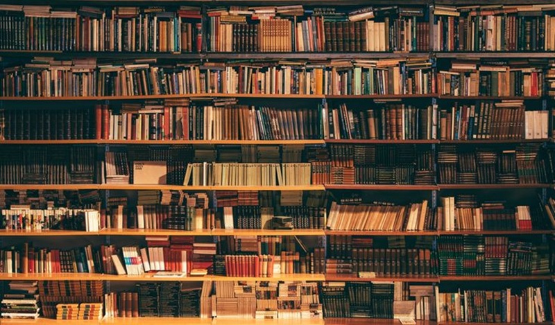 MENJELAJAHI LITERASI: Rak buku penuh warna siap mengajakmu masuk ke dunia pengetahuan dan imajinasi
