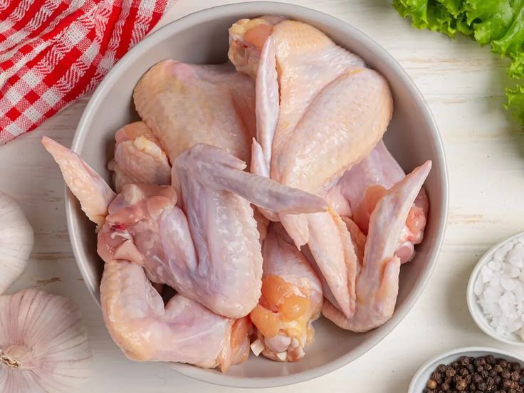 Ilustrasi ayam