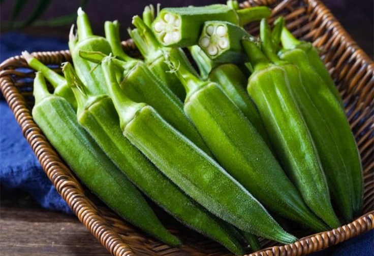 Ilustrasi okra
